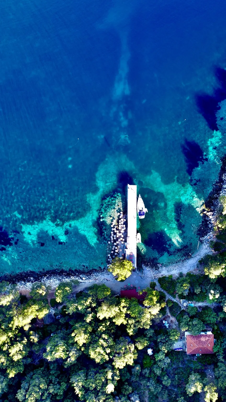 Mrcara – Revierbericht