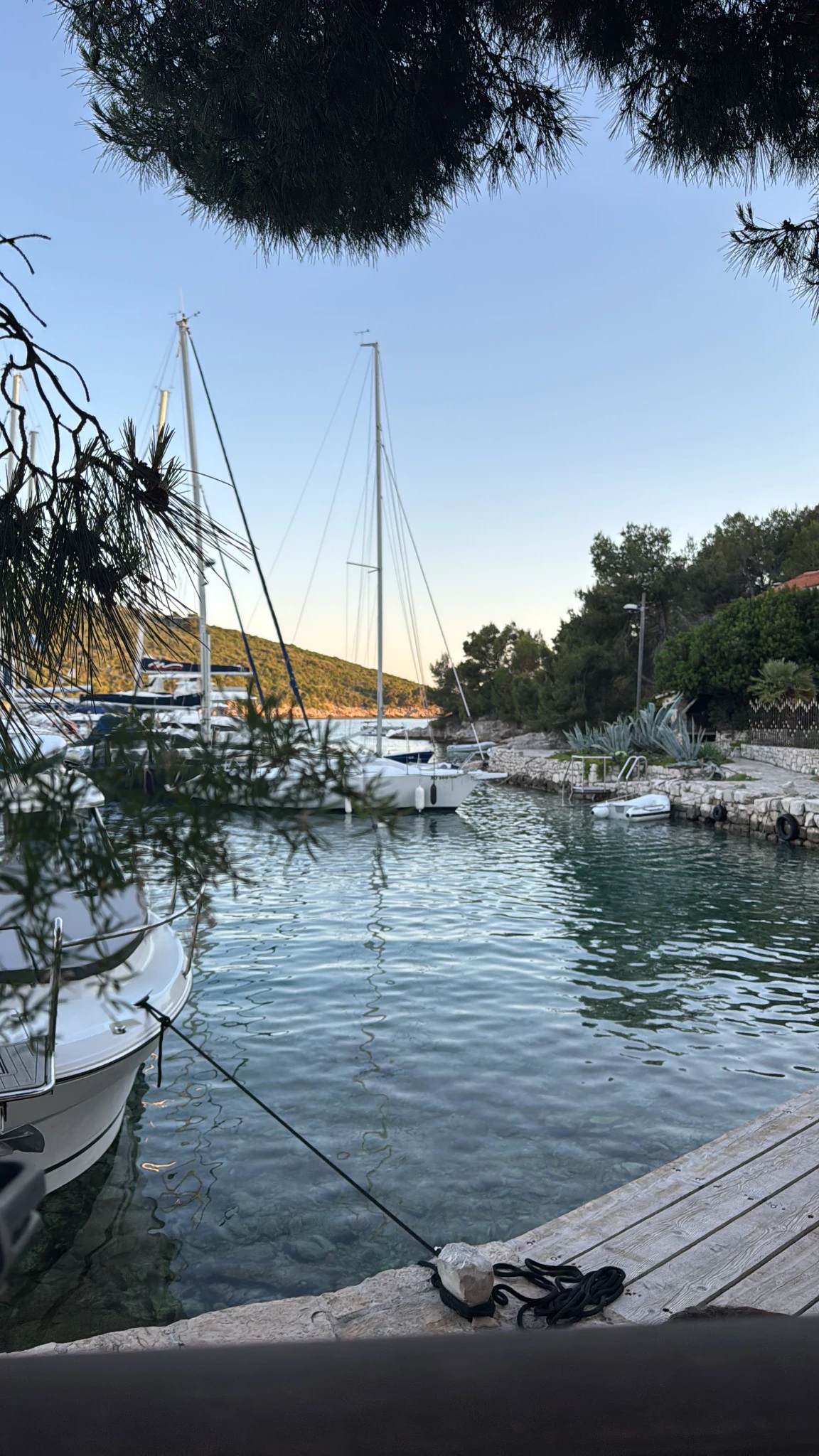 Sesula – Revierbericht